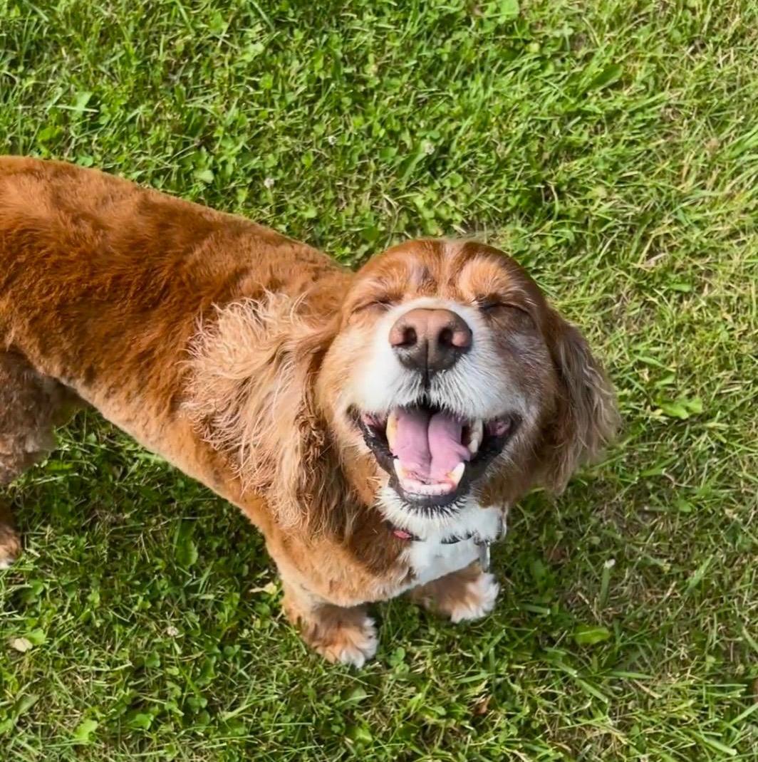 gracie